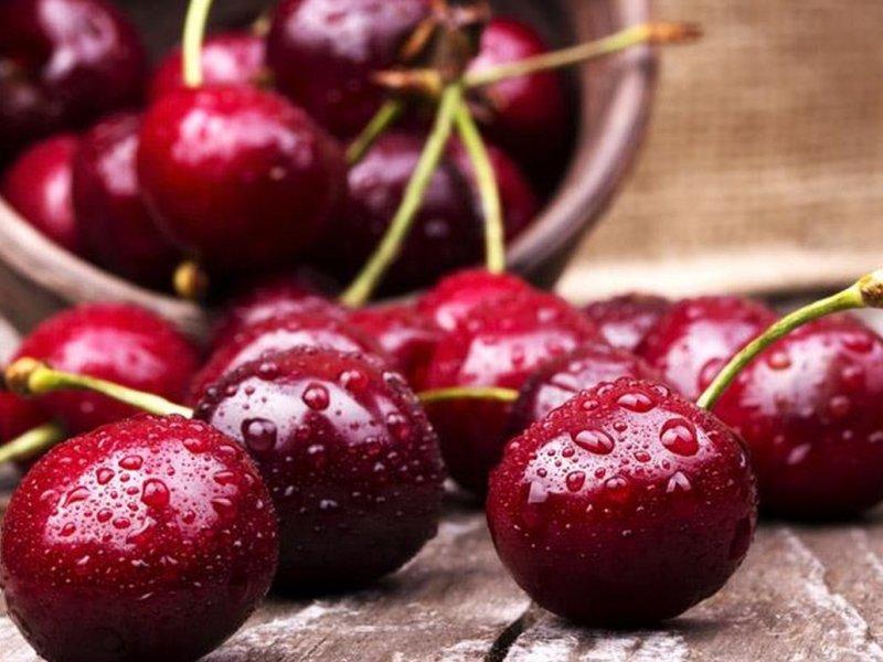Вишня купить саженцы из питомника {2}